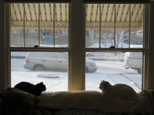 Chilly outside, chillin' inside.