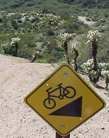 I'm goin' down — down, down, down, down, down.