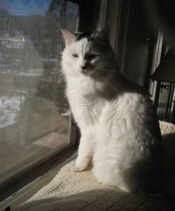 Every minute I stay in this room, I get weaker, and every minute Charlie squats in the bush, he gets stronger.