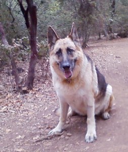 josie Josie parking it in the park.