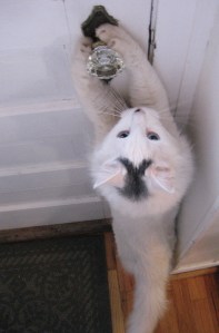 If that big bald-headed sonofabitch can work this thing, I should be able to. He isn't so much of a much.