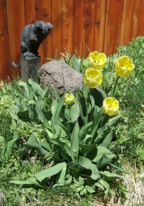 Chairman Meow's tomb is a colorful sight come springtime.