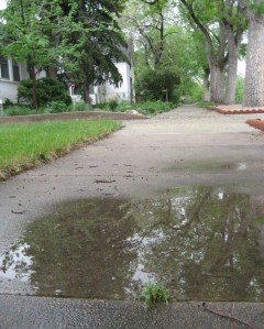 April showers bring May flowers. May showers bring puddles.