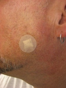 I'm fixing a hole where the rain gets in and stops my mind from wandering.