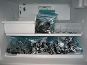 This oughta hold me for a couple weeks.