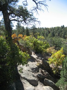 Palmer Park: an oasis in the suburban wasteland that is north-central Bibleburg.