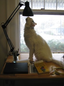 Turkish seeks Jesus in my drawing board's lamp.