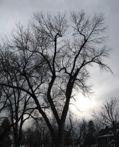 You call this a December morning in Colorado? I've seen more color at a Klan rally.