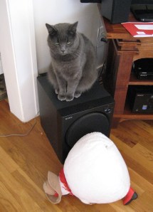 There's a new Chairman Meow in town.