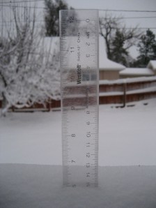 Six inches of snow — and since I'm male, you just know that looks like a foot to me.