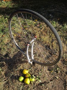 Lacking arboreal elegance in the backyard, I've installed a bit of performance art. It will perform as soon as I find some playing cards to clip to the spokes.