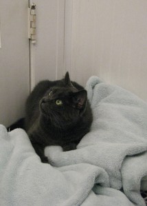 "You brought this on yourself," Mia seems to tell Herself from the towel pile.