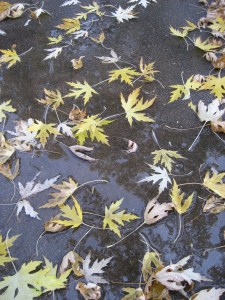 It's a damp fall morning in Bibleburg, and happily for us, all our worldly goods are inside.