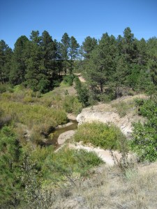The Air Force Academy as seen from the New Santa Fe Trail.