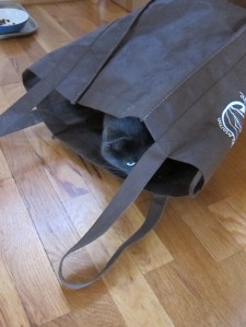 A sack full of trouble