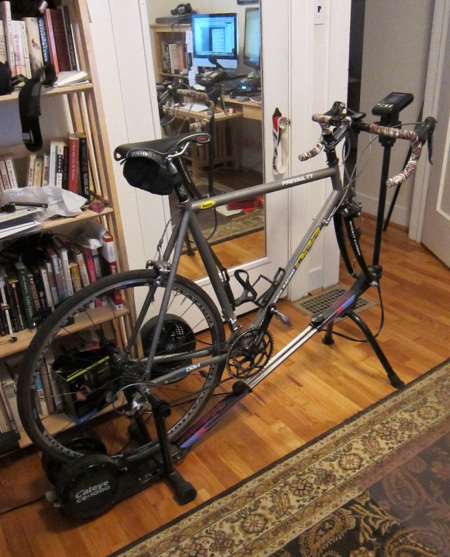 The Cateye of the Tiger