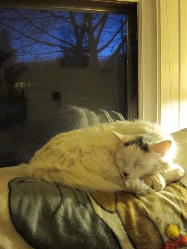 Them ol' January blues