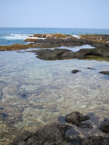 Ho'okena pool