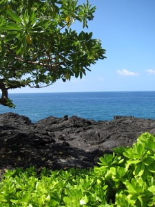 The view from the Sheraton