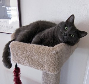 Wisdom from Mount Mia