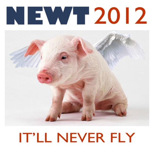 Look! Up in the sky! Look! Up in the sky!