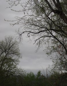 Rainy May day Rainy May day