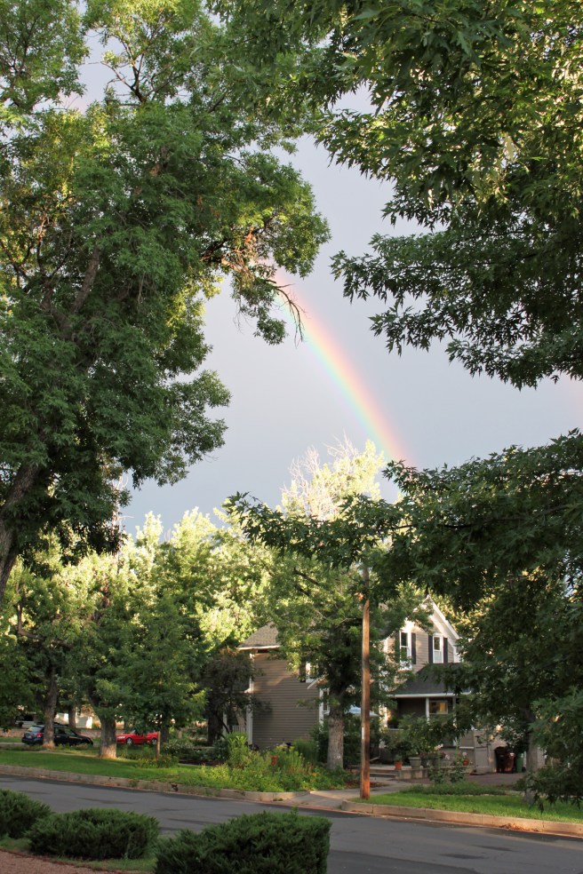 Afternoon rainbow