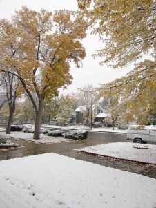 First real snow of 2011-12