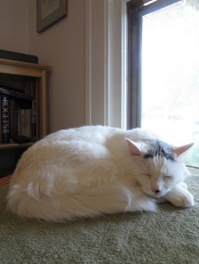 When in doubt, sleep