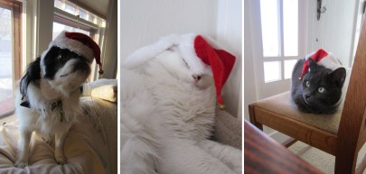 Christmas 2011, Santa's elves