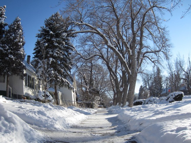 The Great Blizzard of Dec. 22, 2011