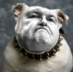 Newt Gingrich, junkyard dog