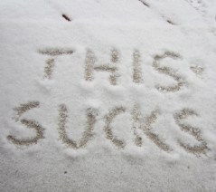 What passes for snow in February