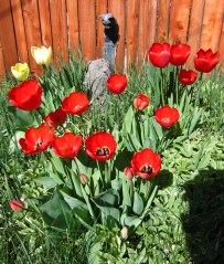 Ike's tomb on Earth Day 2012