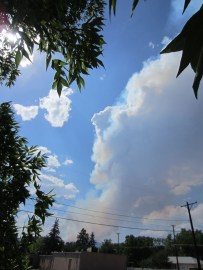 The Waldo Canyon fire