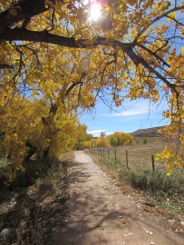 The path to Fountain, Oct. 20, 2012