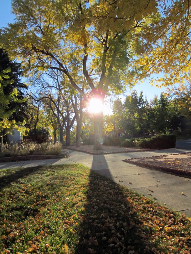 Early morning sun, Mon., Oct. 15, 2012