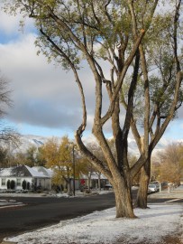 First snowfall of 2012