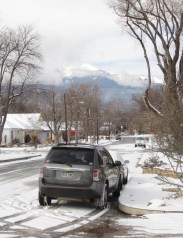 Snow? In January? who'da thunk it?