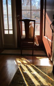 Turkish working on his tan