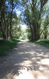 Fountain Creek Trail
