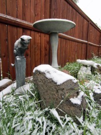 True, it's only a dusting, but still, it's a hint of bigger things to come.