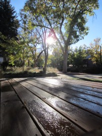 If we had a pumpkin, there'd be frost on it.