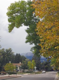 The colors are changing, fast and furious, as fall descends on Bibleburg.