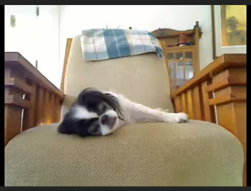 Live from Bibleburg, it's Mister Boo! Click the pic for streaming video.