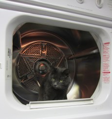 Chief of Staff Mia Sopaipilla prepares the Turkenbunker for The Commander.