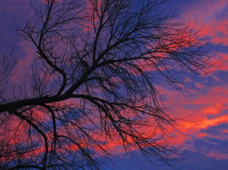 Herself said, "The sunrise is pretty damn' awesome this morning," and she did not lie.