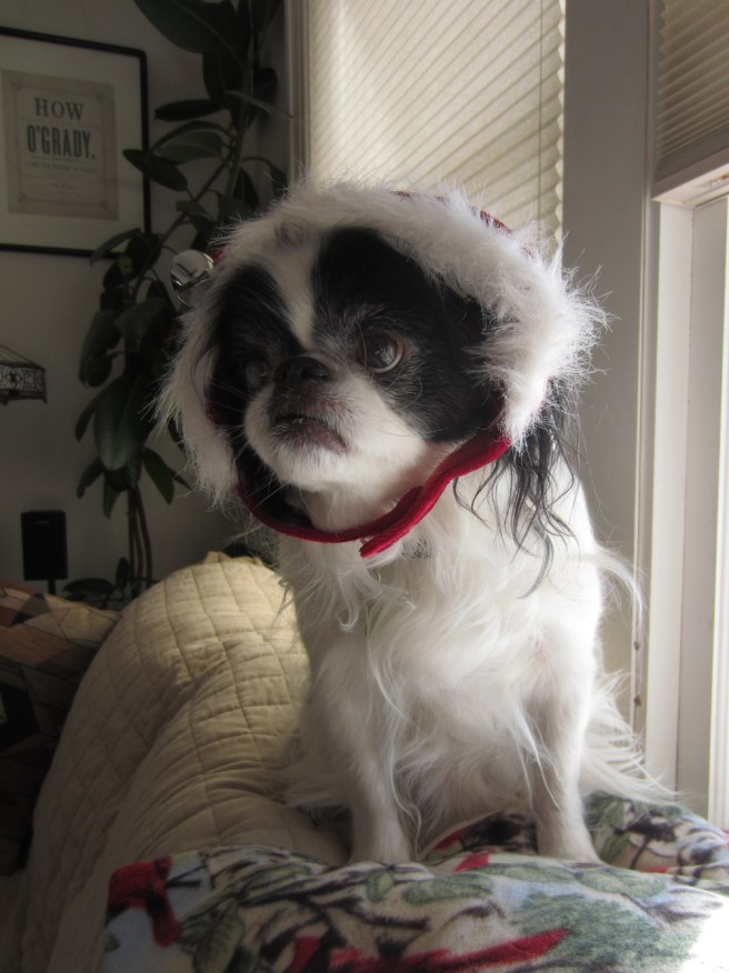 The Xmas Boo has a bag full of questions, but answers seem in short supply.