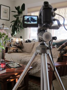 "I'm ready for my closeup, Mister DeDogge. ..."