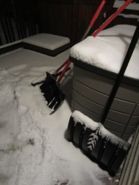 The back deck this evening around dark-thirty.